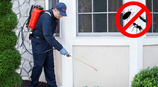 Ulus Böcek ve Haşere İlaçlama böcek ilaçlama ve haşere kontrolü — ilaclama-tr.com
